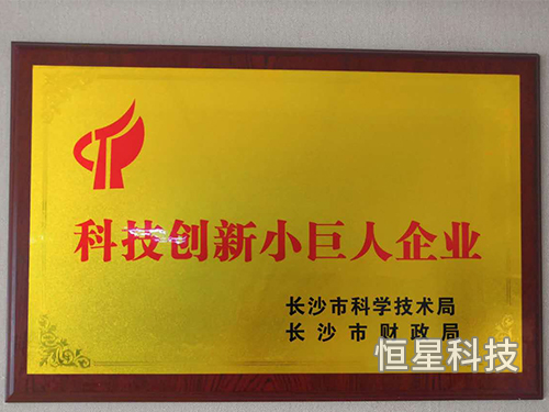 科技創(chuàng)新小巨人企業(yè)